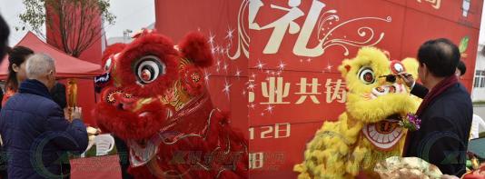 比利美英伟饲料溧阳车间,溧阳比利美英伟蛋鸡饲料价格