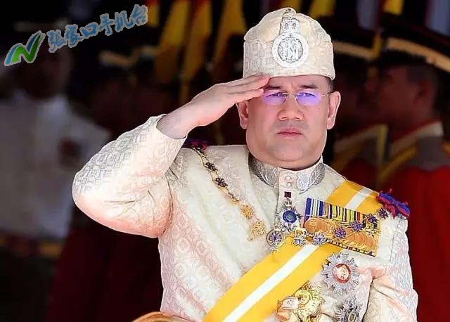 张家口新闻联播12月15日,张家口新闻报道频道