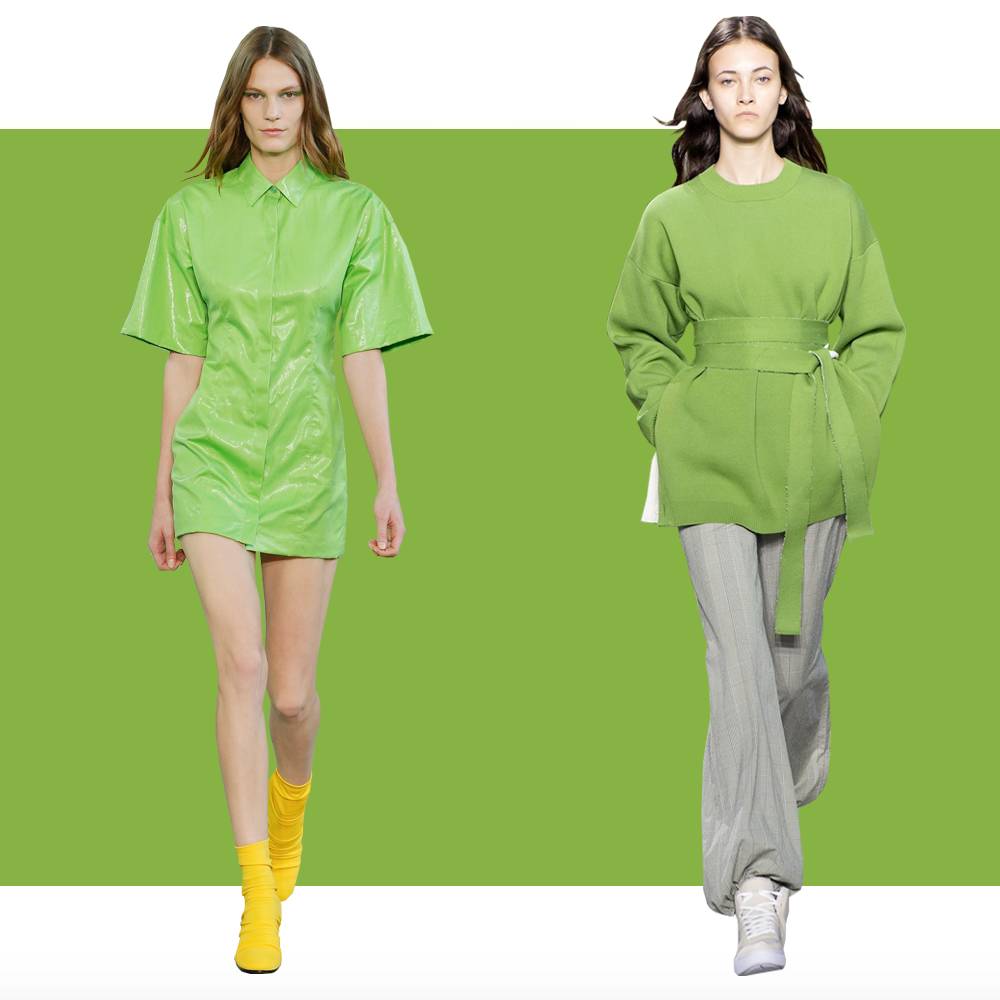 2017年的流行色草木绿,2022年的春季流行色