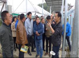 一喝牛奶肚子就不舒服怎么调理,为什么喝牛奶后肚子不舒服