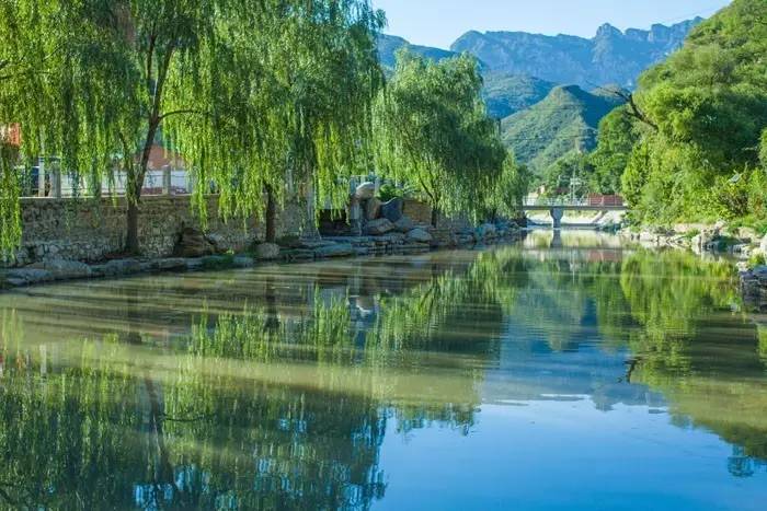 人物｜陈长春：我想把关于“农”的全部理想装进这些院子