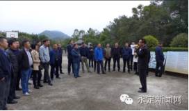 一喝牛奶肚子就不舒服怎么调理,为什么喝牛奶后肚子不舒服