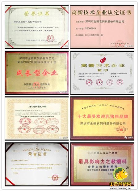 金新农20周年,金新农饲料2019
