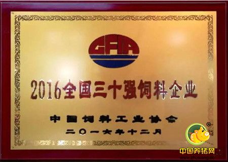 金新农20周年,金新农饲料2019