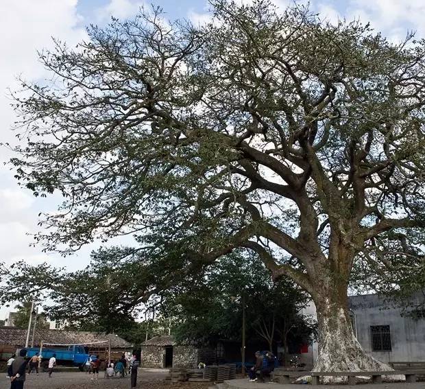 再不看就会消失的景点,海南三大古镇