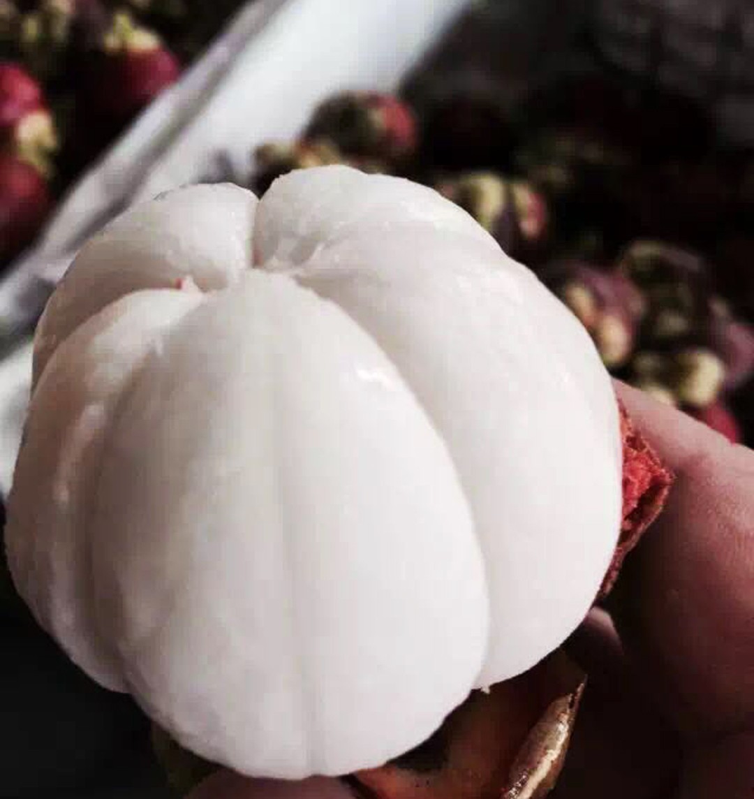 广西进口农产品批发市场,中国进口商品直销平台