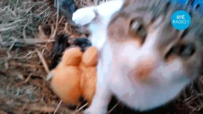 当你老婆发脾气的时候,当你老婆处处和你对着干