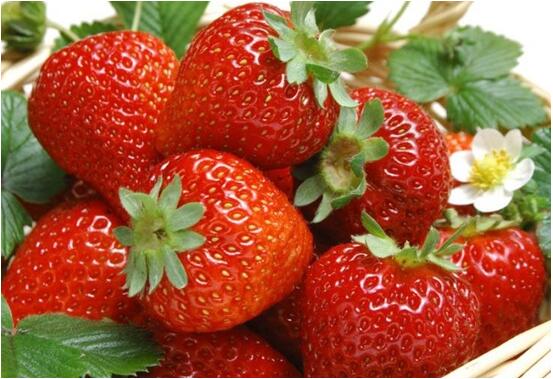 口腔溃疡影响食欲,口腔溃疡有什么后果