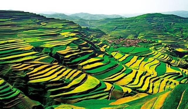 各个省份选美大赛,甘肃选美大赛冠军