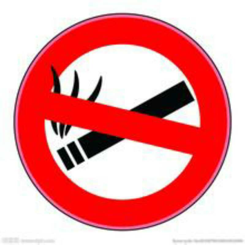 科学备孕的宝宝会不会更聪明,科学备孕孕育健康宝宝