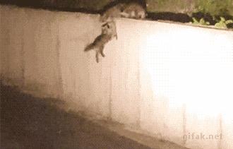 当你老婆发脾气的时候,当你老婆处处和你对着干