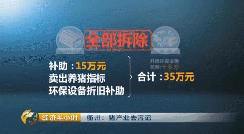 猪粪致富经,致富经养猪多赚一个亿