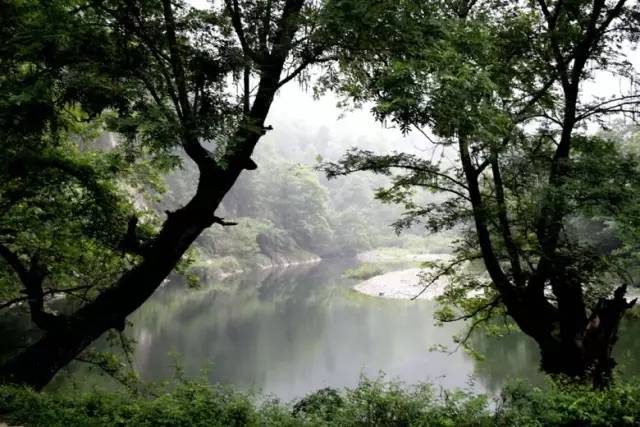 各个省份选美大赛,甘肃选美大赛冠军