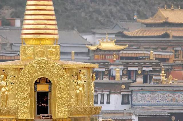 各个省份选美大赛,甘肃选美大赛冠军