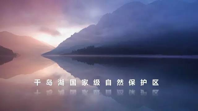 ppt留白设计的功能,ppt版式构图