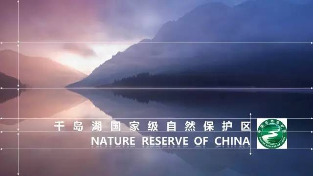 ppt留白设计的功能,ppt版式构图