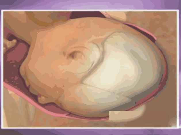 动画演示生孩子全过程，母亲的伟大你可懂？