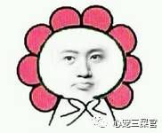 最不爱干净的宠物,最不爱掉毛的宠物