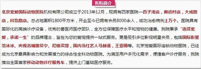 怎么分辨狗咬了要不要打针,被宠物狗咬多久打针