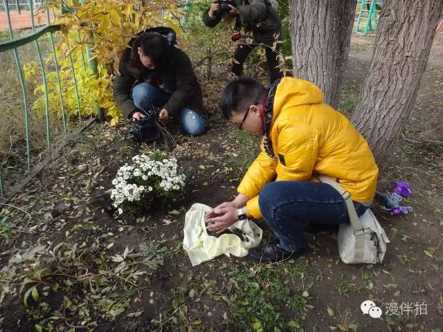 成都到弗赖堡多少公里,成都到米亚罗路有多远