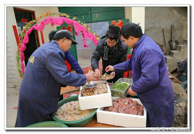 野鹅自驾甘肃,野鹅自驾