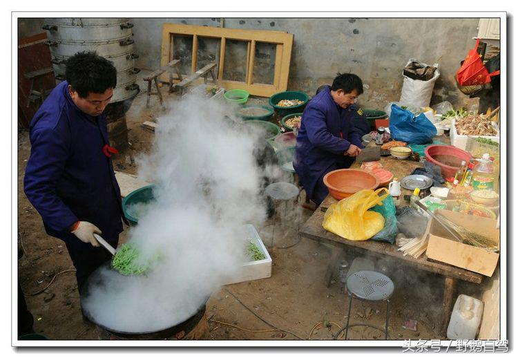 野鹅自驾甘肃,野鹅自驾