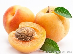 治疗咳嗽不愈的特效药,治咳嗽不好吃啥药