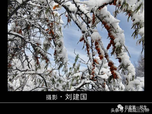 岚县野鸡山位于哪里,山西吕梁山雪景图片