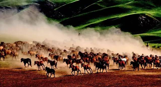 各个省份选美大赛,甘肃选美大赛冠军