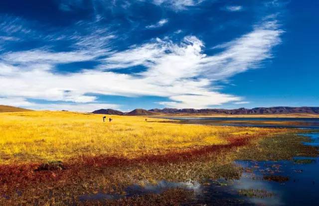 各个省份选美大赛,甘肃选美大赛冠军