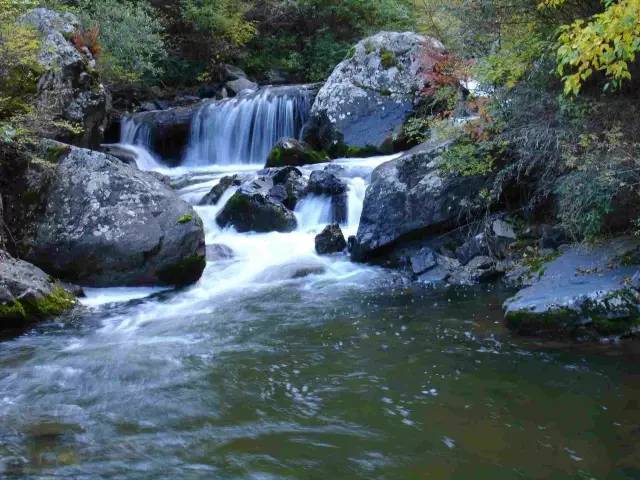 各个省份选美大赛,甘肃选美大赛冠军