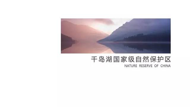 ppt留白设计的功能,ppt版式构图