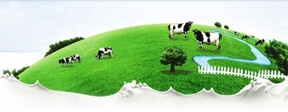 成年人怎样选奶粉才是正确的,6岁到12岁儿童怎么选奶粉