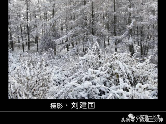 岚县野鸡山位于哪里,山西吕梁山雪景图片