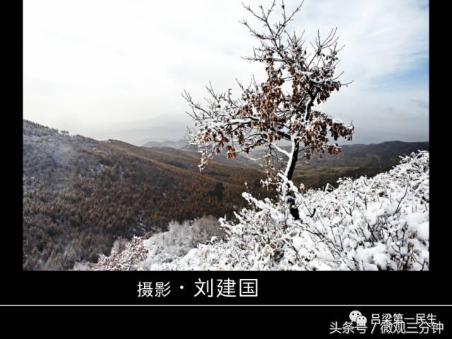 岚县野鸡山位于哪里,山西吕梁山雪景图片