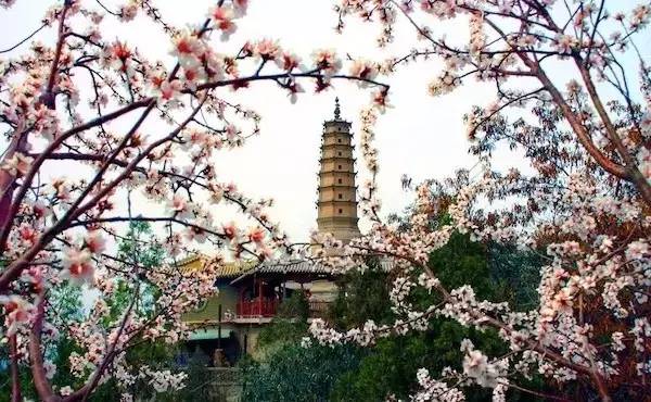 各个省份选美大赛,甘肃选美大赛冠军