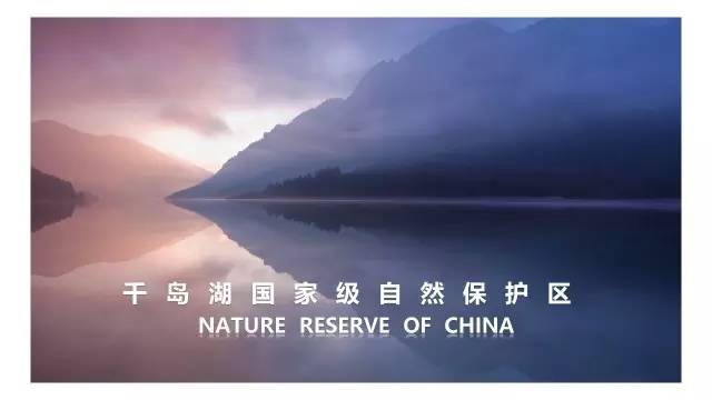 ppt留白设计的功能,ppt版式构图