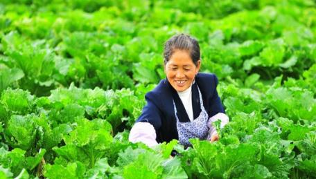 聚焦｜农村脱贫商机“门路”多，你的家乡脱贫了吗？