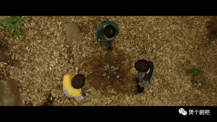 姜栋元电影截图,姜栋元最新电影叫什么