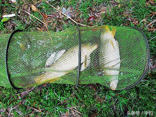 钓鱼人的一周生活,一个钓鱼人的一次完整垂钓过程