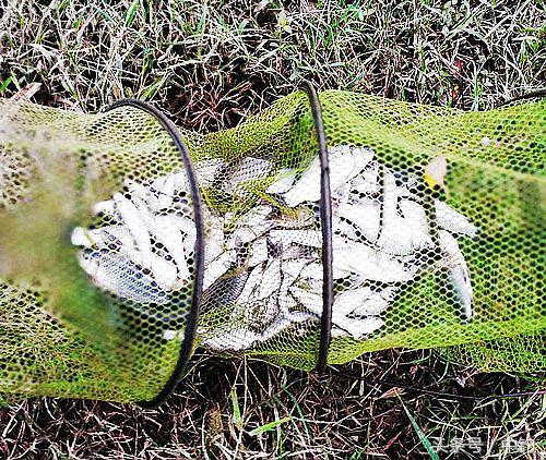 钓鱼人的一周生活,一个钓鱼人的一次完整垂钓过程