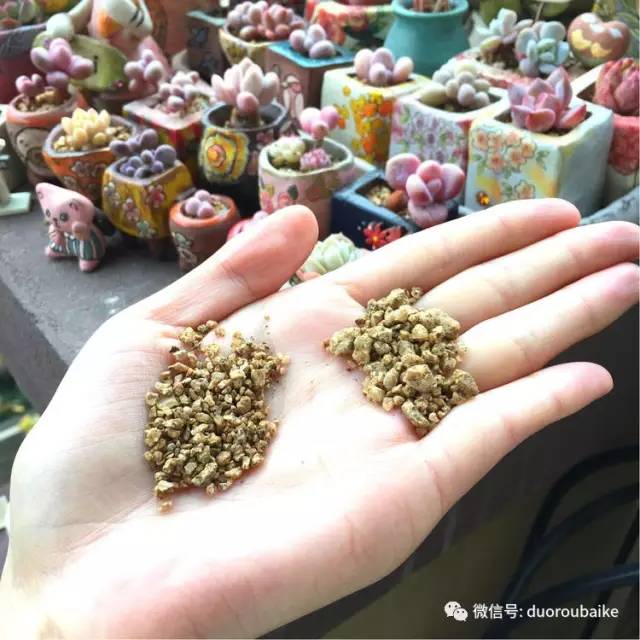 太实用了！图解多肉的配土及用药！