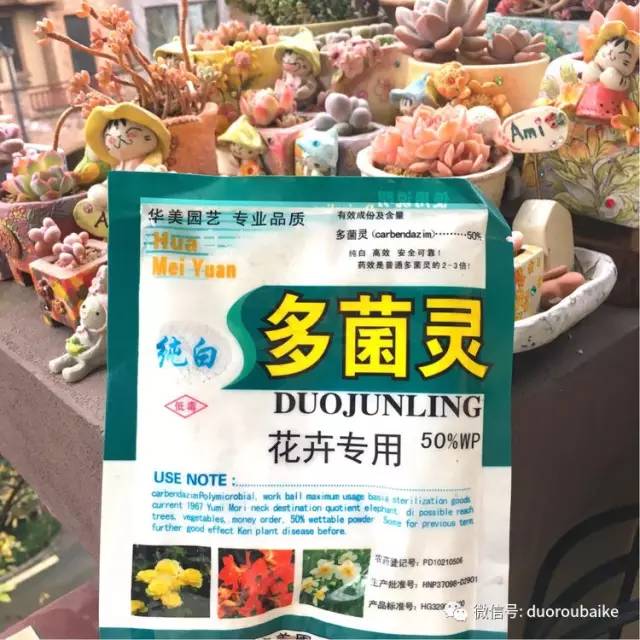 太实用了！图解多肉的配土及用药！