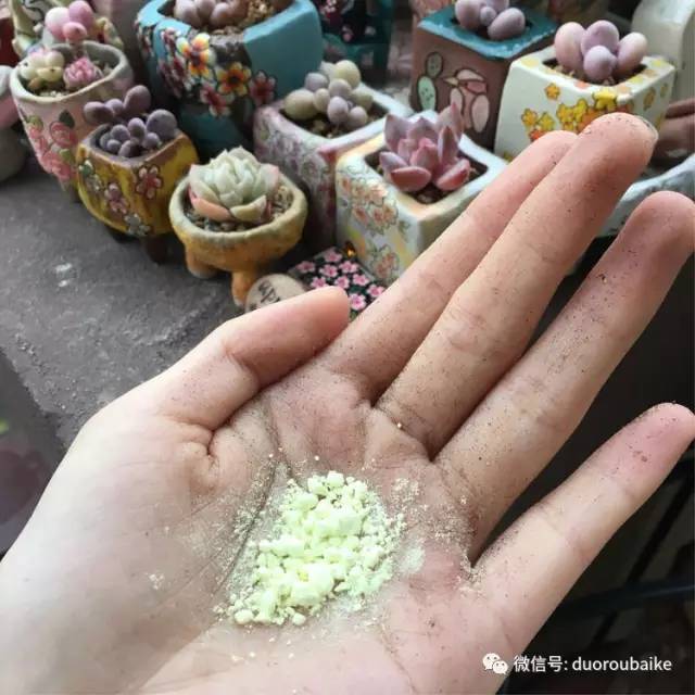 太实用了！图解多肉的配土及用药！