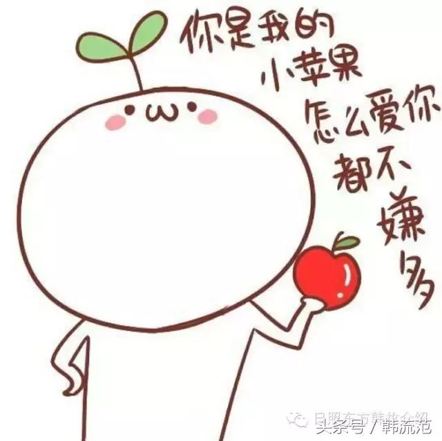 韩国代购中国药,韩国代购中药材