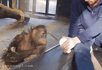 一个人在家觉得太孤单,女子一个人在家太孤单