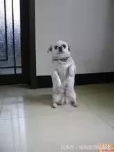 学习时困怎么办,学习困了怎么提神