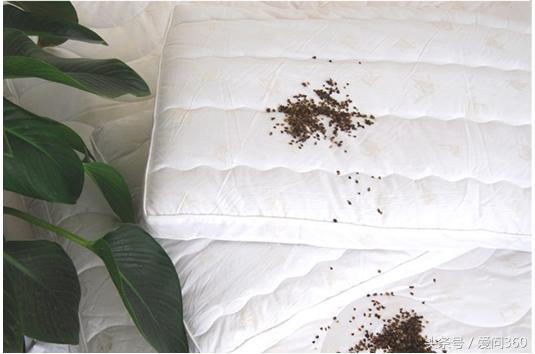 荞麦枕头功效与作用,荞麦枕头对身体好不好