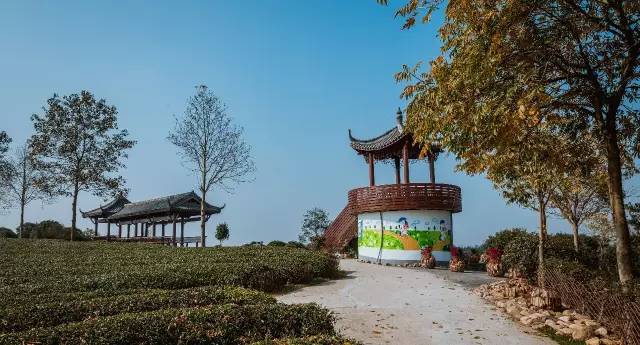 九峰万亩茶园,九峰森林动物园好不好玩