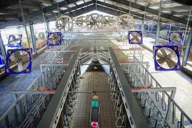 九峰万亩茶园,九峰森林动物园好不好玩